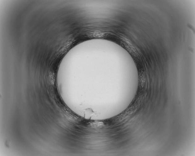 X0000096210374200802081508