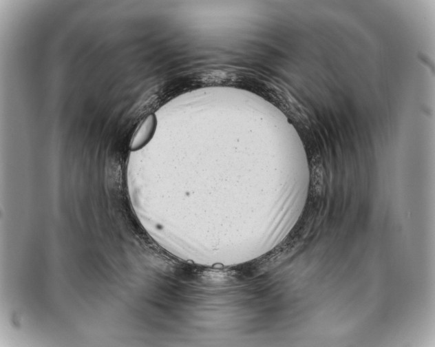 X0000096210375200802081508