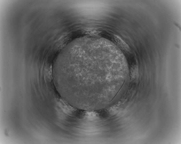 X0000096210376200802081508