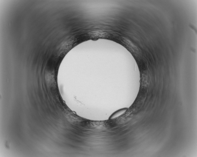 X0000096210377200802081508