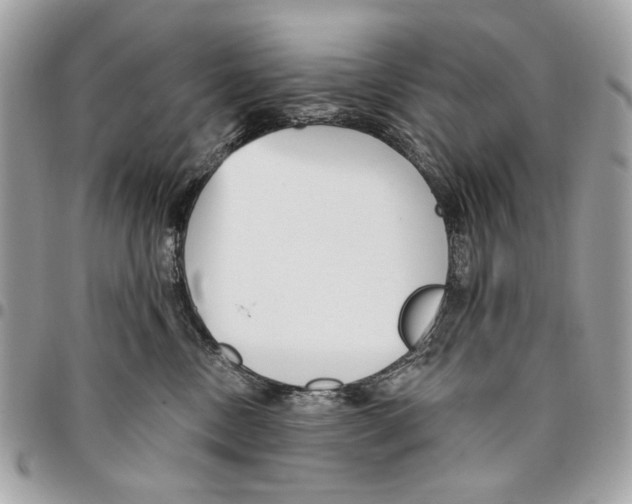 X0000096210378200802081508