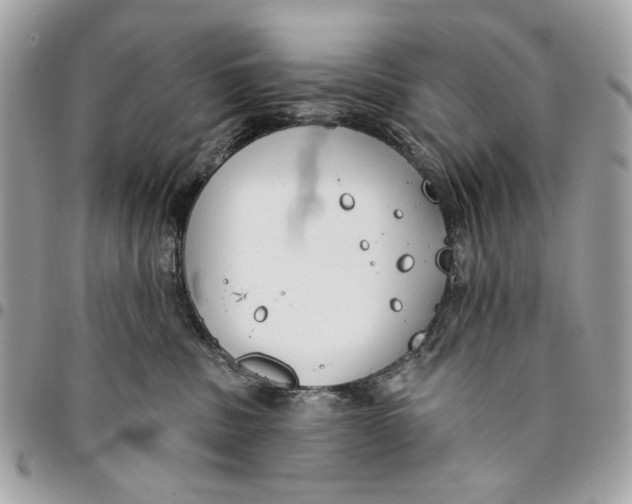 X0000096210379200802081508