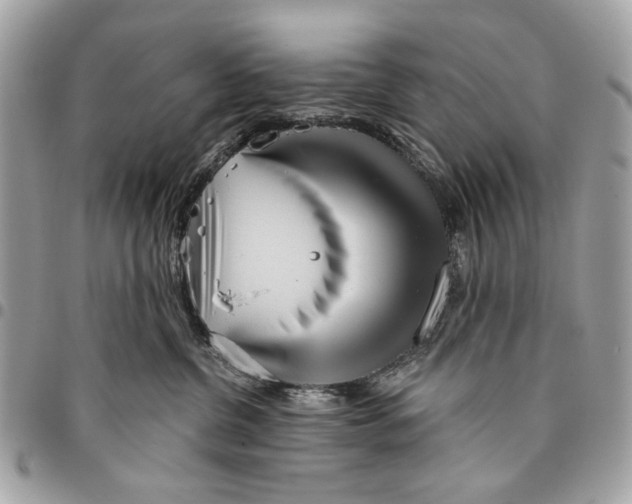 X0000096210380200802081508