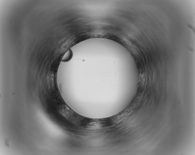 X0000096210381200802081508