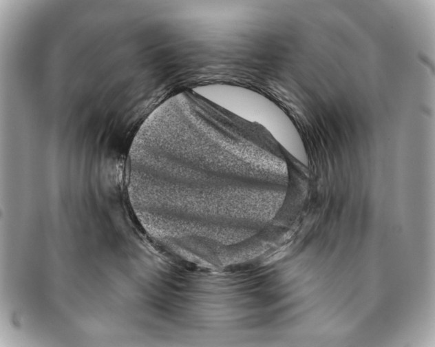 X0000096210382200802081508