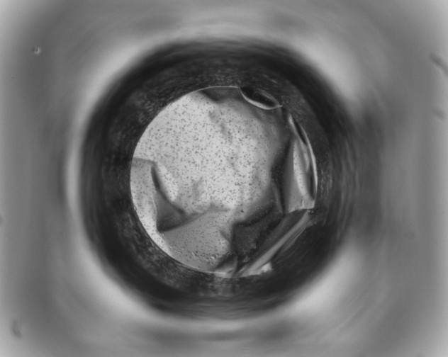 X0000096210383200802081508