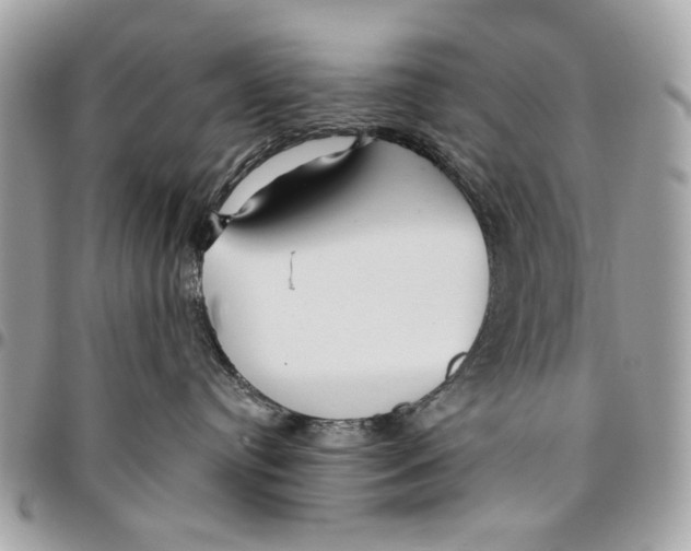 X0000096210384200802081508