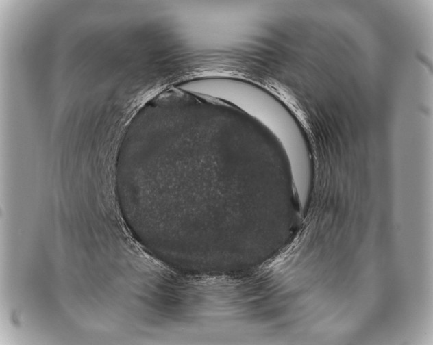 X0000096210385200802081507