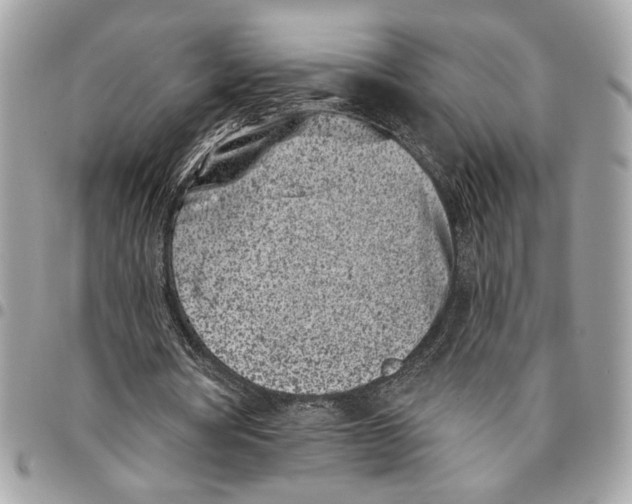 X0000096210386200802081507