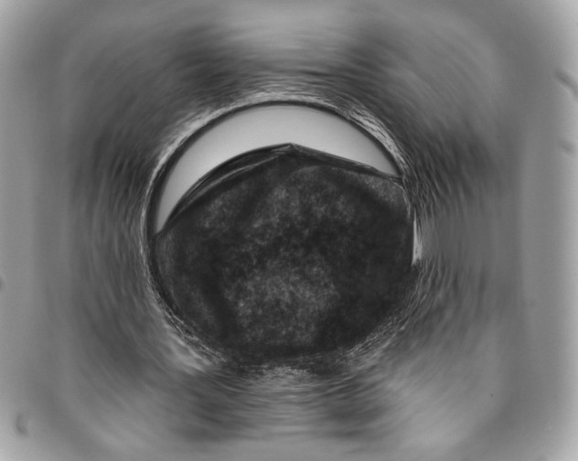 X0000096210387200802081507