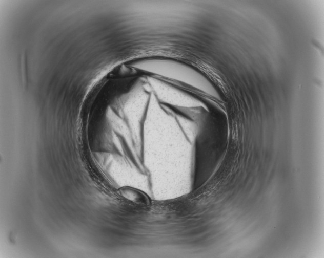 X0000096210388200802081507