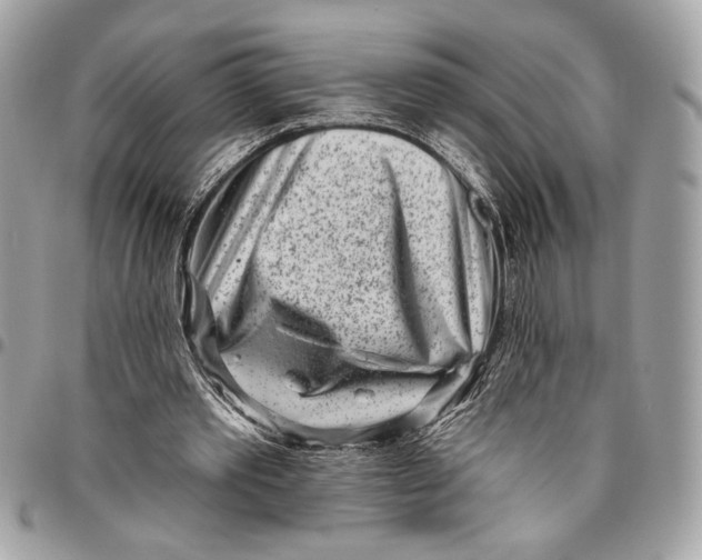 X0000096210389200802081507