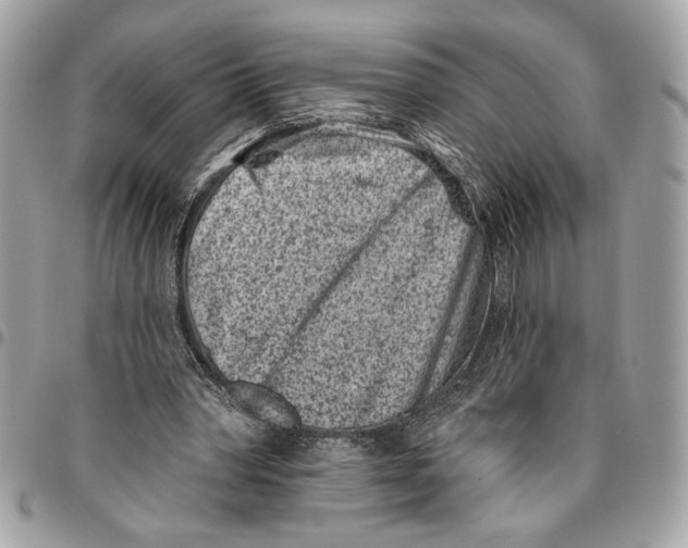 X0000096210390200802081507