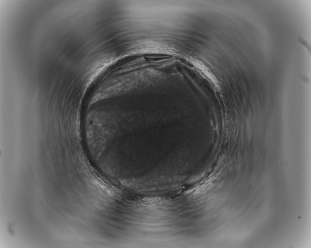 X0000096210391200802081507