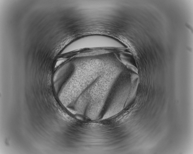 X0000096210393200802081507