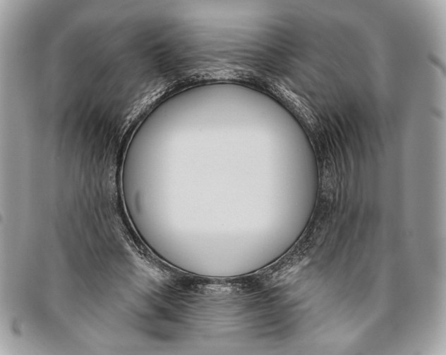 X0000096210394200802081507