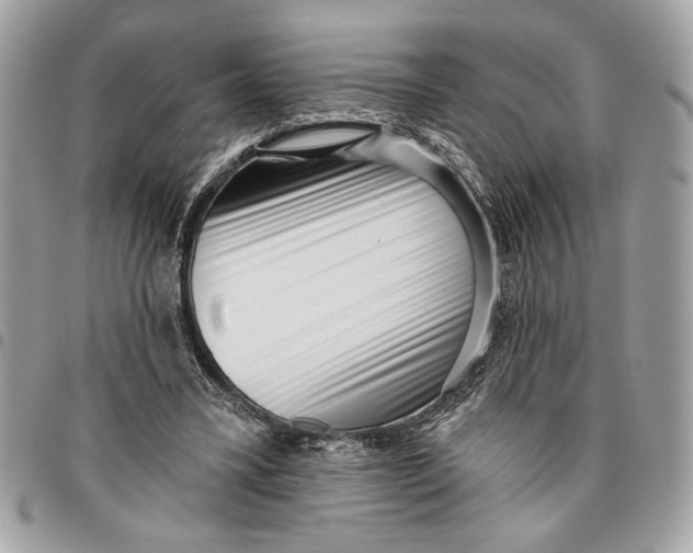 X0000096210395200802081507