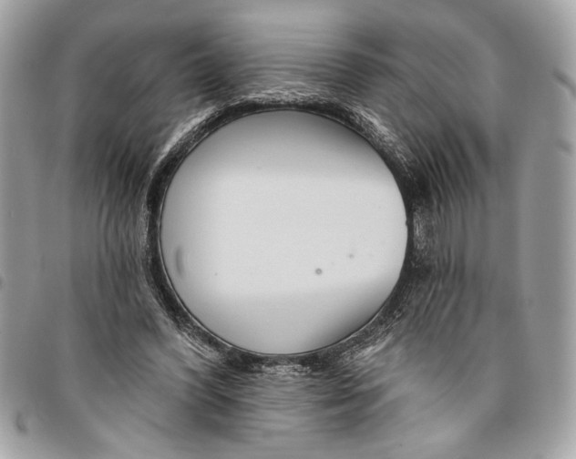 X0000096210396200802081507