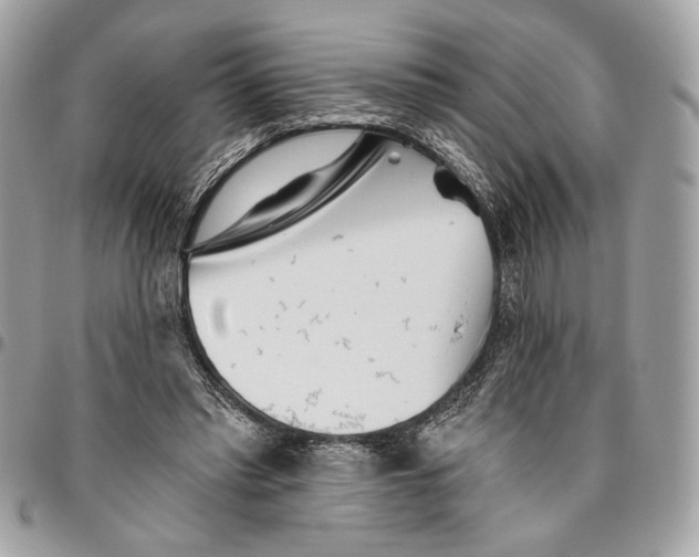 X0000096210397200802081507