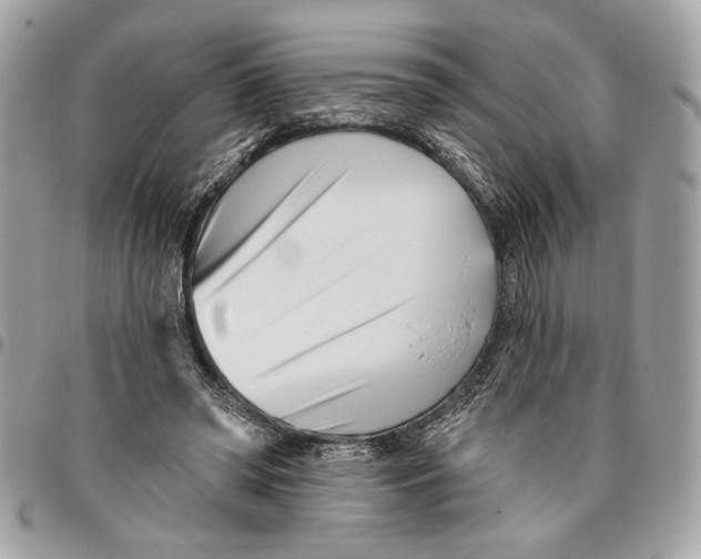 X0000096210398200802081507