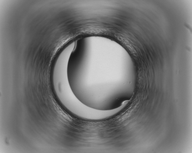 X0000096210399200802081507