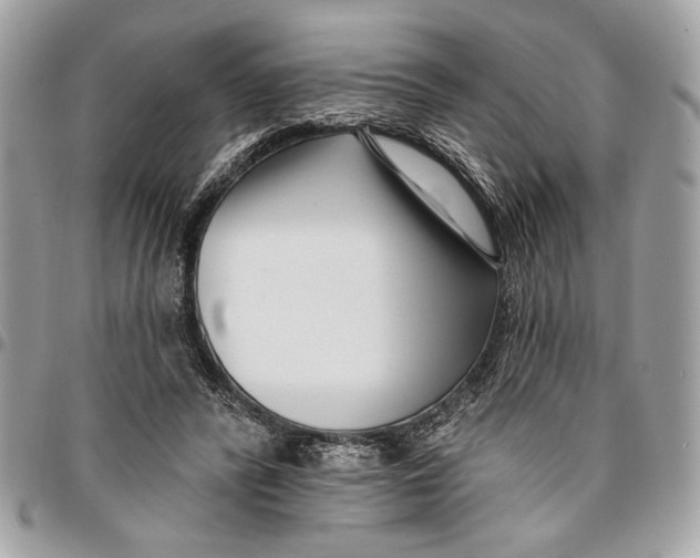 X0000096210400200802081507