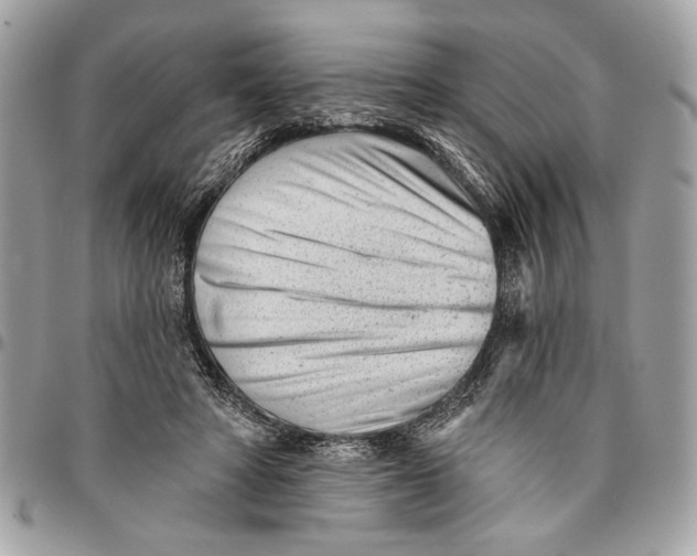 X0000096210402200802081507