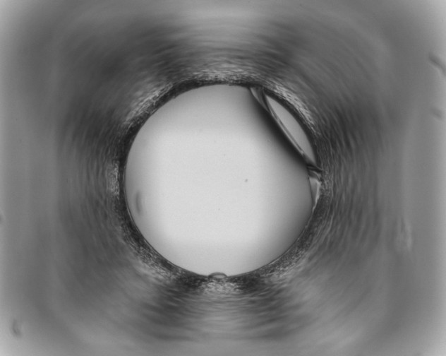 X0000096210403200802081507