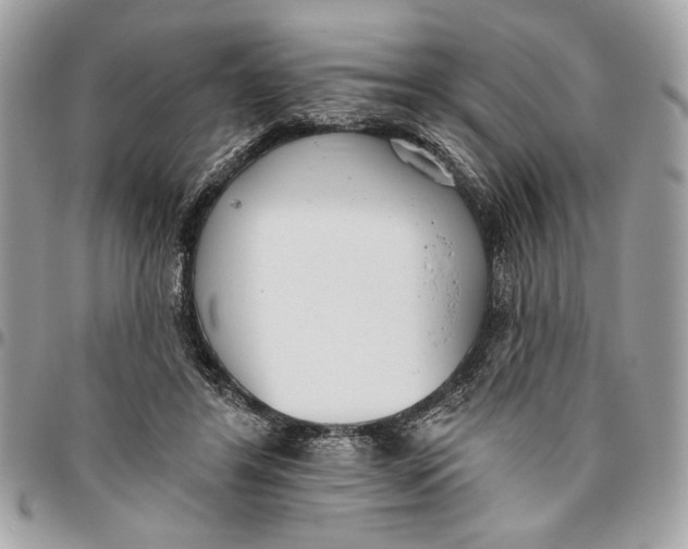 X0000096210404200802081507