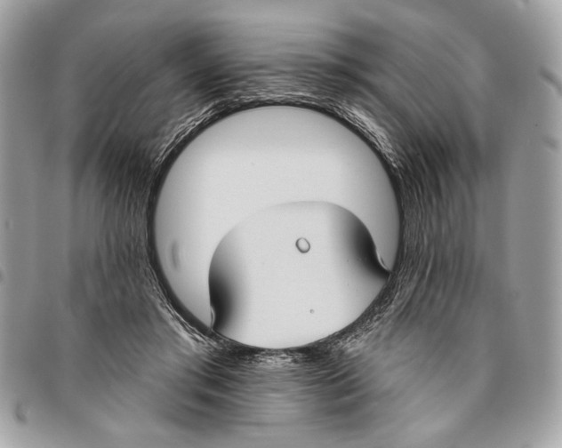 X0000096210405200802081507