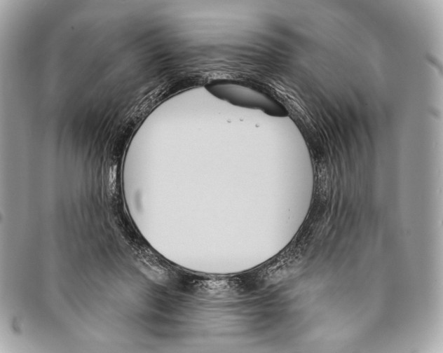 X0000096210406200802081507