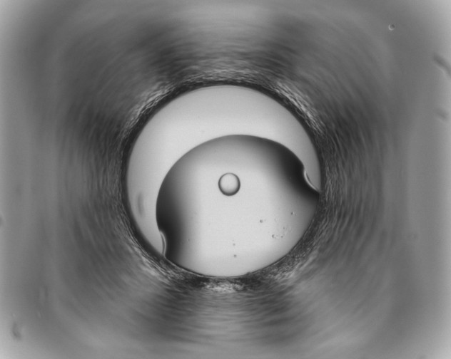 X0000096210407200802081507