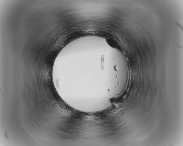 X0000096210408200802081507