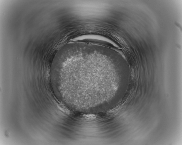 X0000096210409200802081507