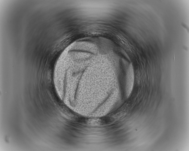 X0000096210410200802081507