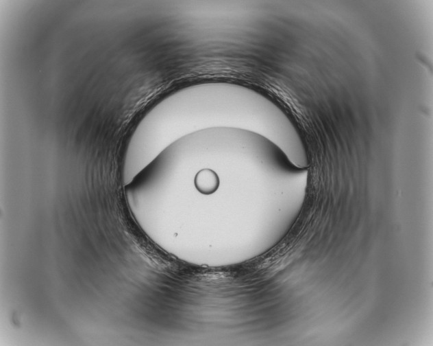 X0000096210411200802081507