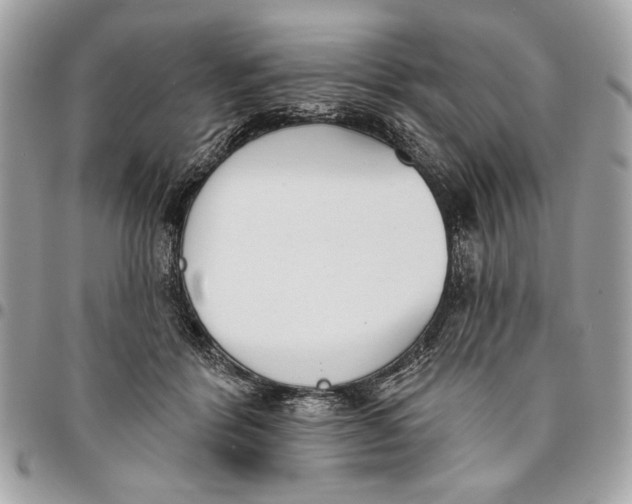 X0000096210412200802081507