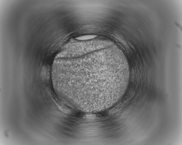 X0000096210413200802081507