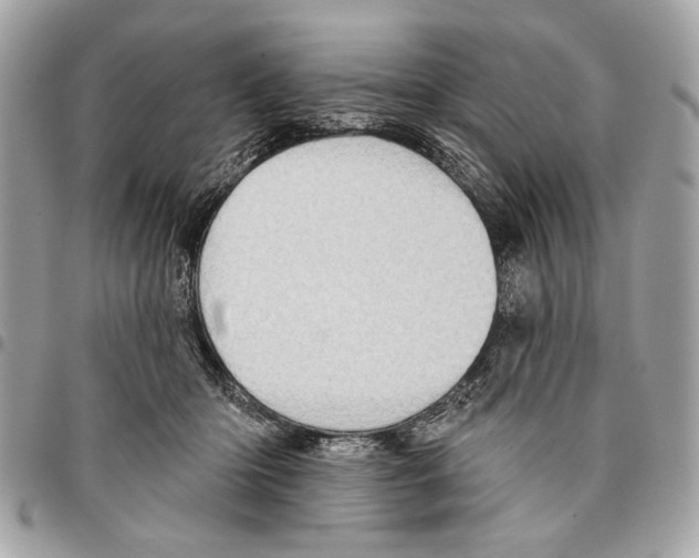 X0000096210414200802081507