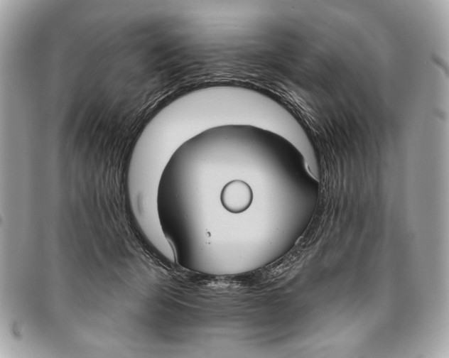 X0000096210415200802081507