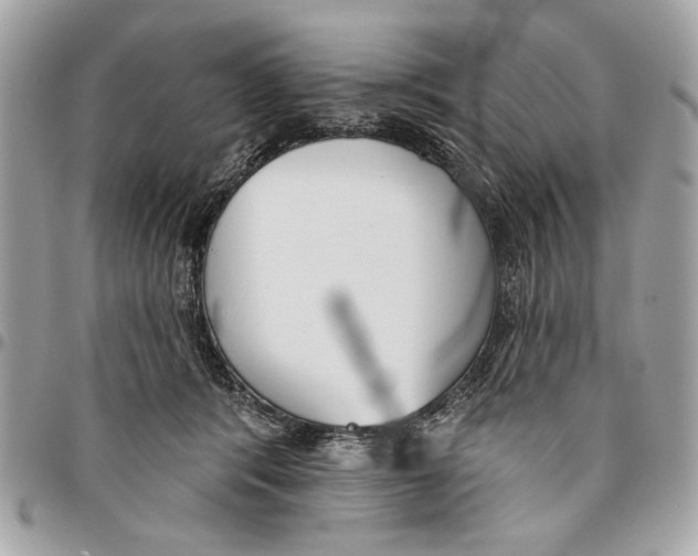 X0000096210416200802081507