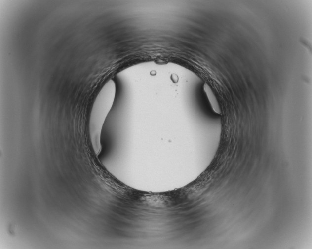 X0000096210417200802081507