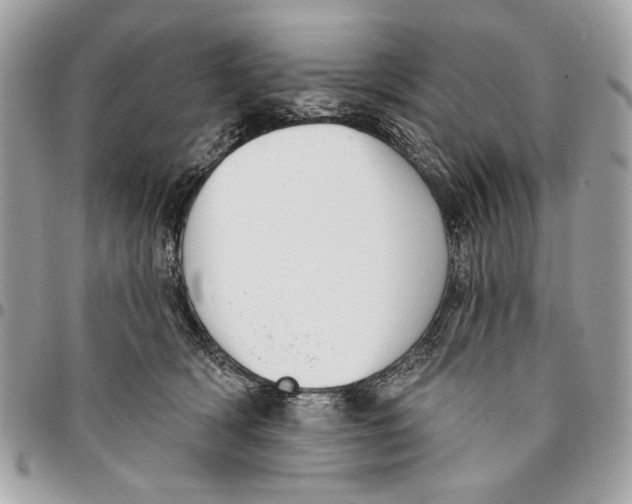 X0000096210418200802081507