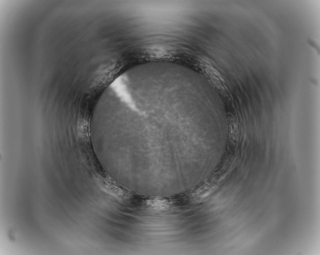 X0000096210419200802081507