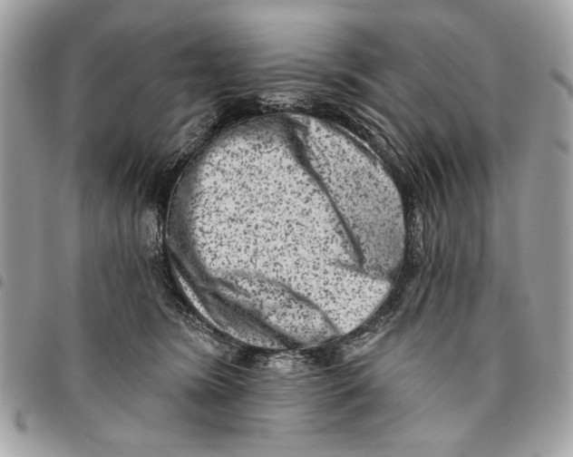 X0000096210420200802081507