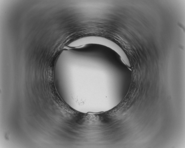 X0000096210421200802081507