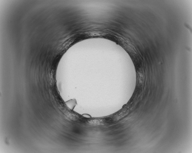 X0000096210422200802081507