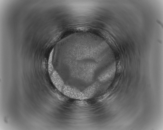 X0000096210424200802081506