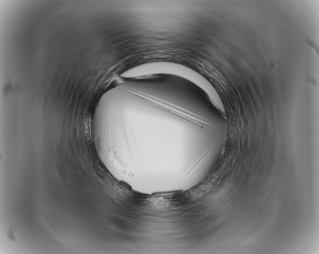 X0000096210425200802081506