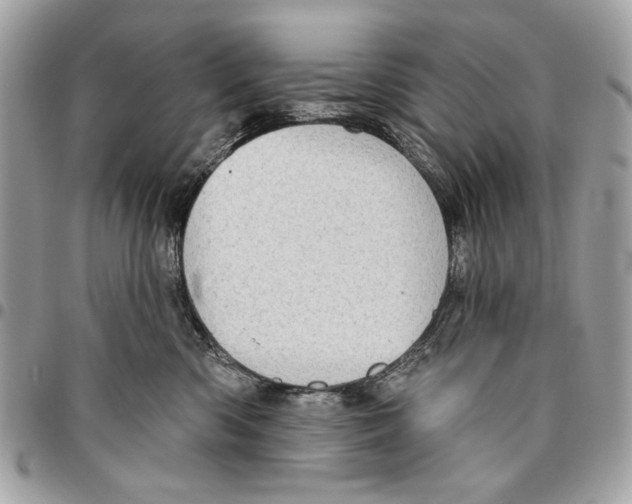 X0000096210426200802081506